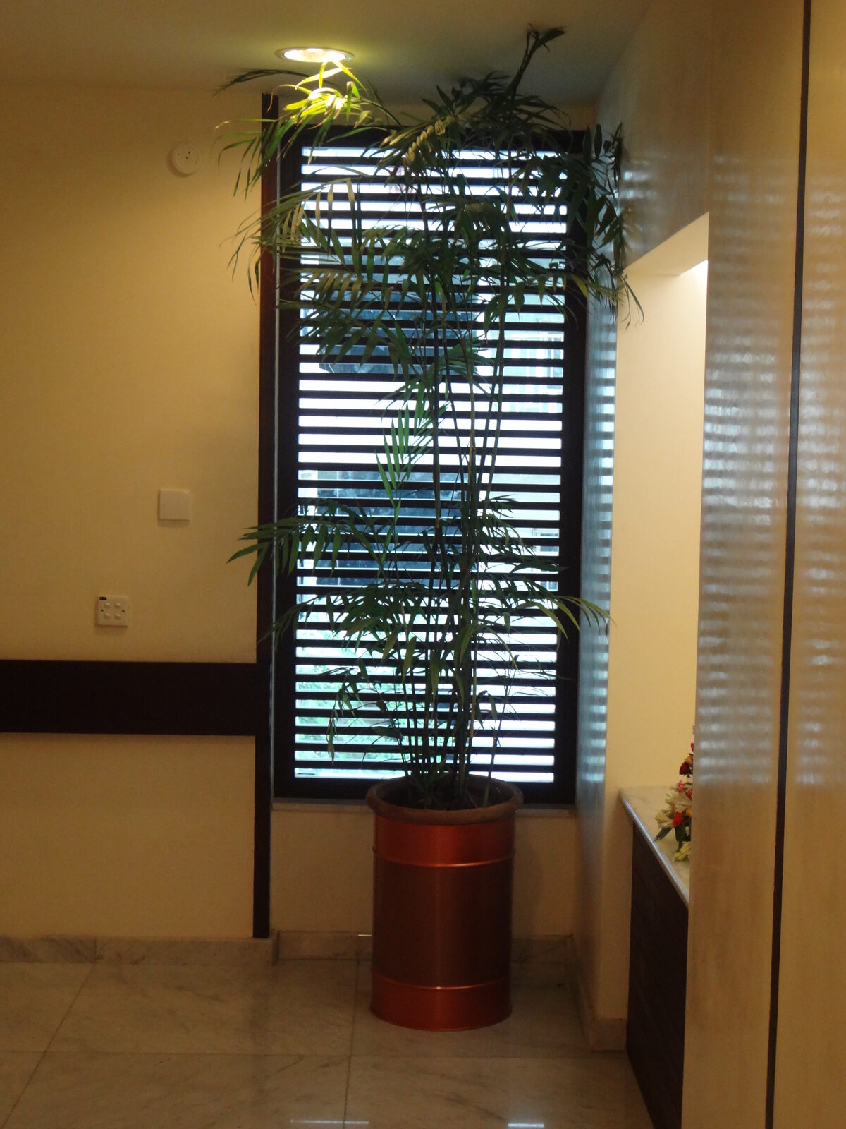 Timber louvre screen over a window beside a stone-topped counter